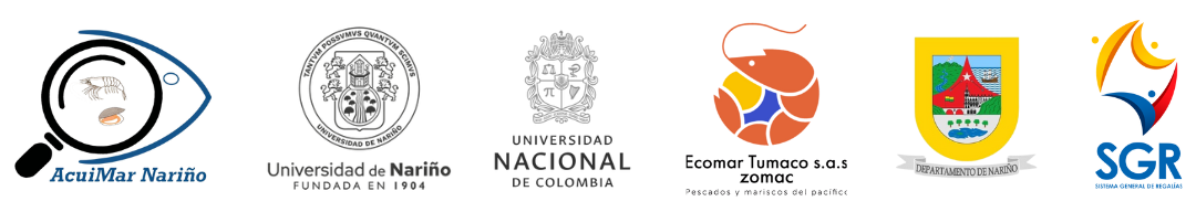 Entidades